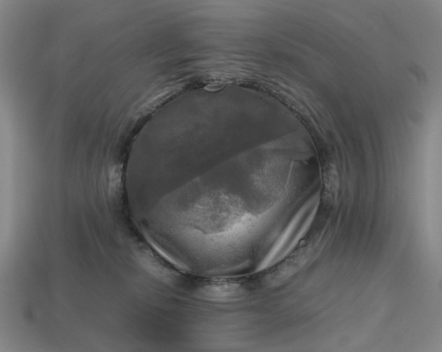 X0000112970278200909101659