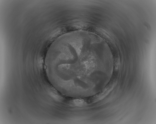 X0000112970279200909101659