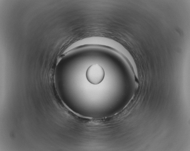 X0000112970280200909101659