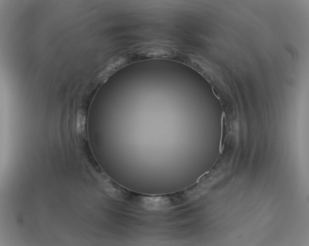 X0000112970281200909101659