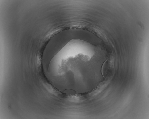 X0000112970282200909101659