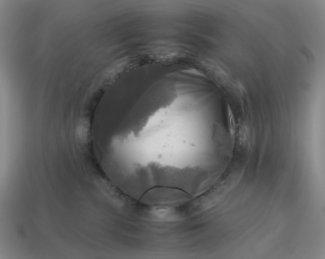 X0000112970283200909101659