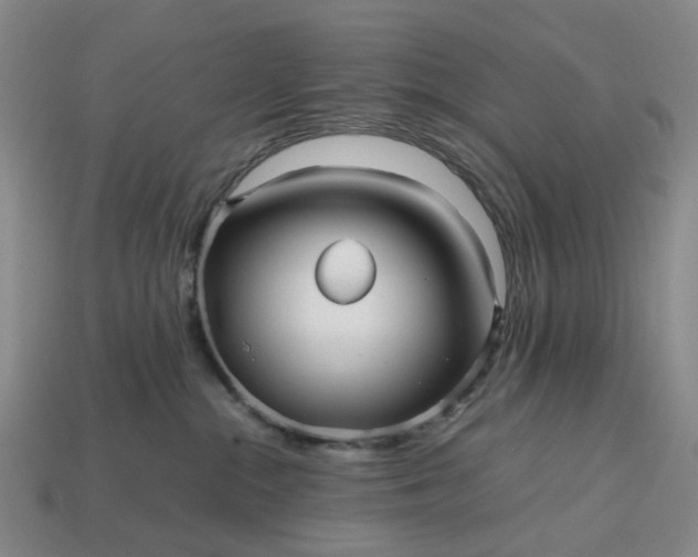 X0000112970284200909101659