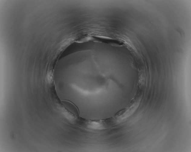 X0000112970285200909101659