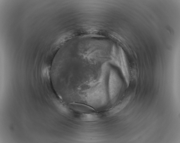 X0000112970286200909101659