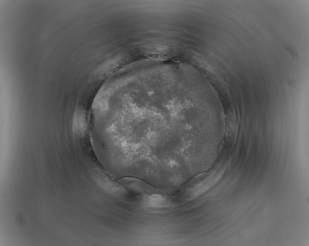 X0000112970287200909101659