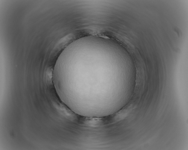 X0000112970288200909101659