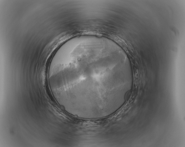 X0000112970290200909101659