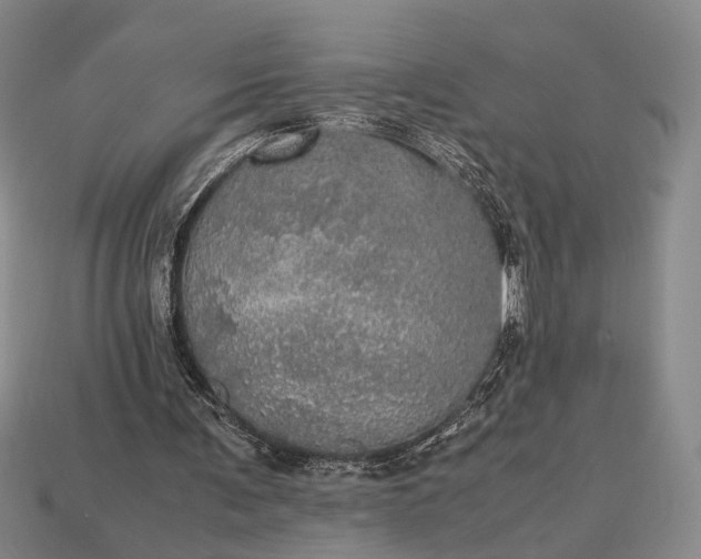 X0000112970291200909101659