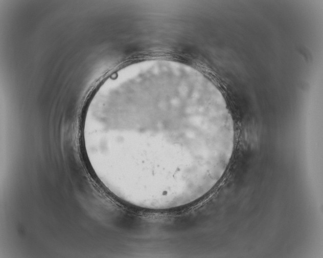 X0000112970293200909101659