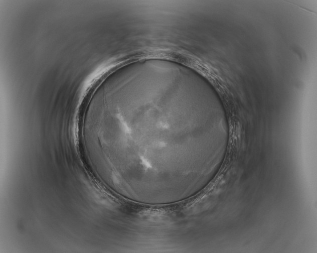 X0000112970294200909101659