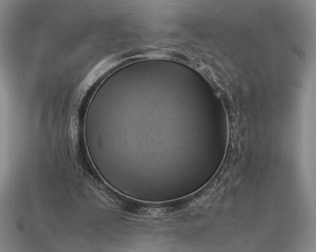 X0000112970295200909101659