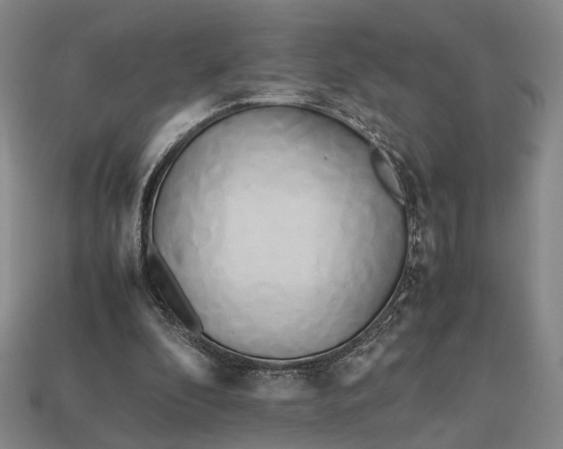 X0000112970296200909101659