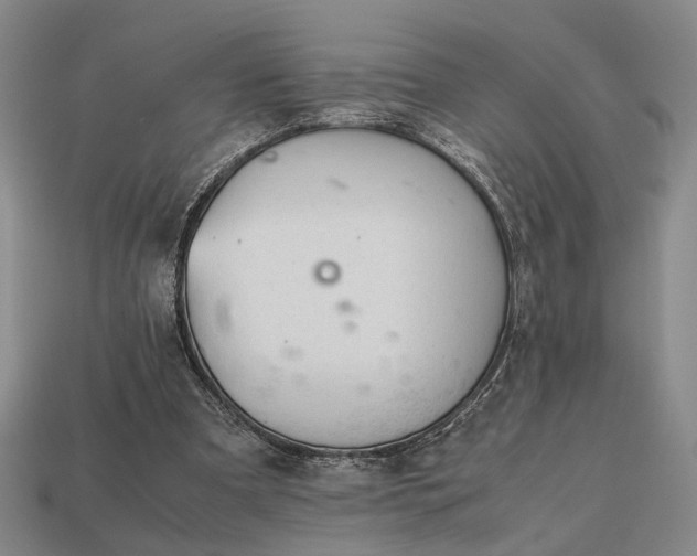 X0000112970297200909101659