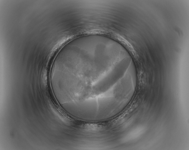 X0000112970298200909101659