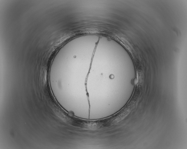 X0000112970301200909101659