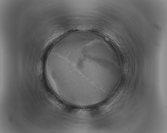 X0000112970303200909101659