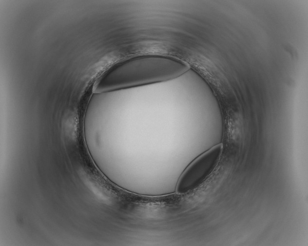 X0000112970304200909101659