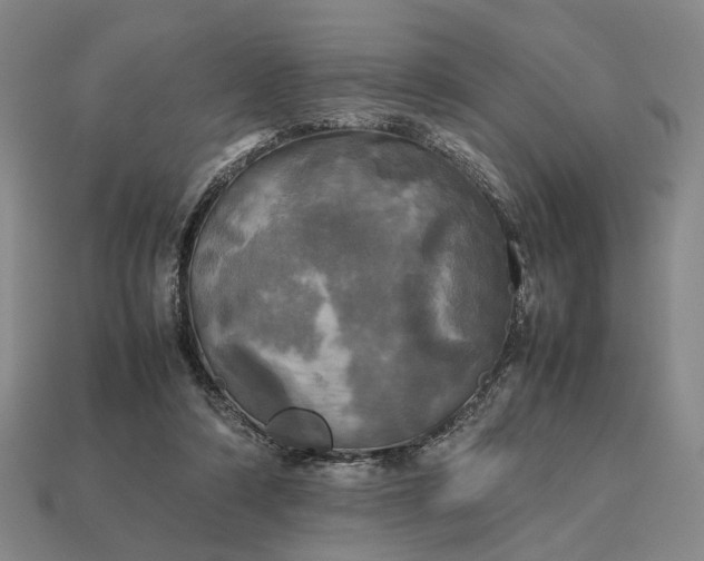 X0000112970306200909101659