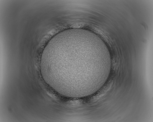 X0000112970307200909101659