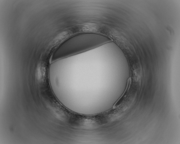 X0000112970308200909101659