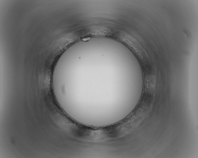 X0000112970309200909101658