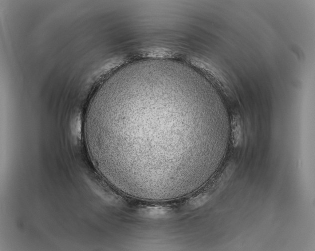 X0000112970310200909101658