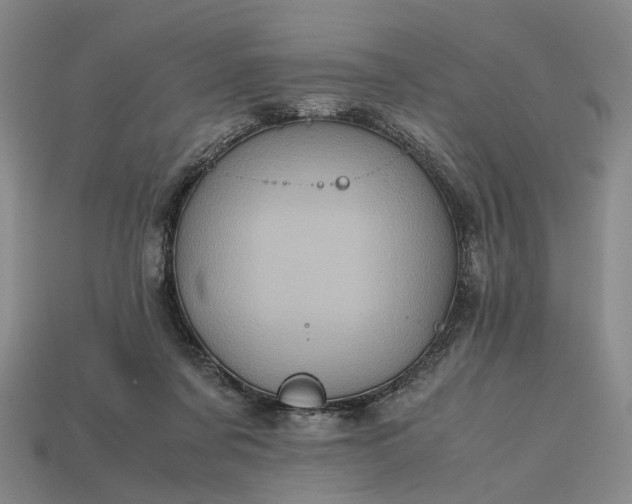 X0000112970311200909101658