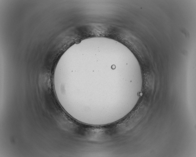 X0000112970313200909101658