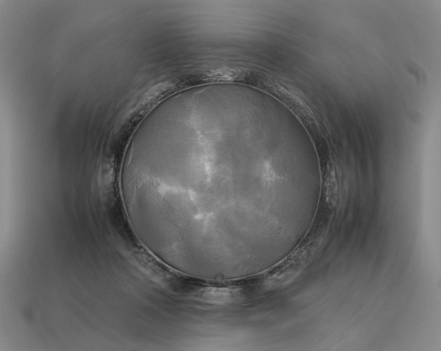 X0000112970314200909101658