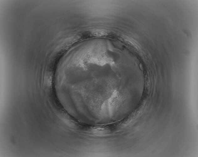 X0000112970315200909101658