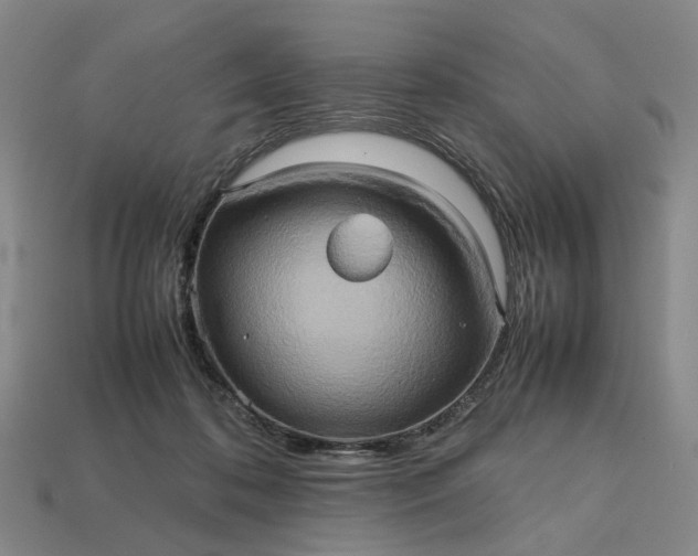 X0000112970316200909101658