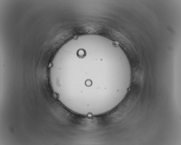 X0000112970317200909101658