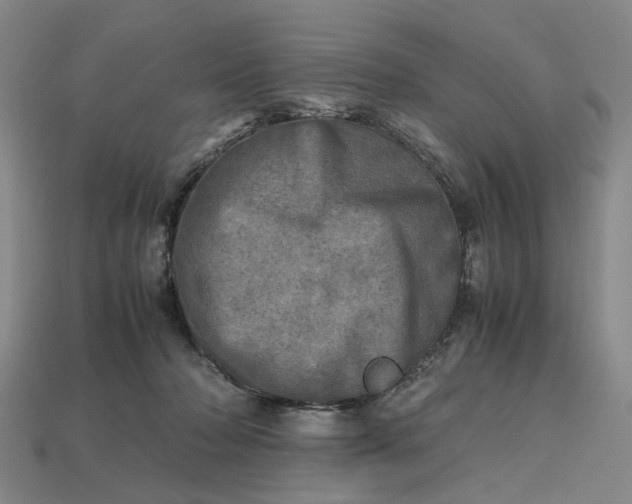 X0000112970318200909101658