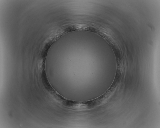 X0000112970319200909101658