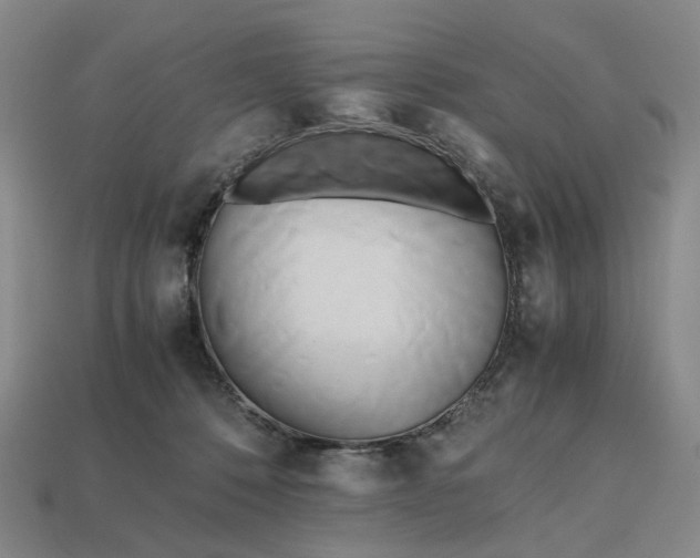 X0000112970320200909101658