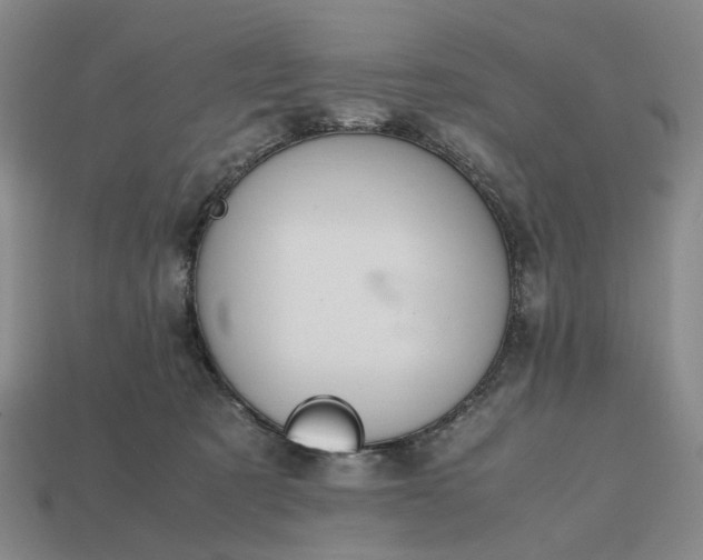 X0000112970321200909101658