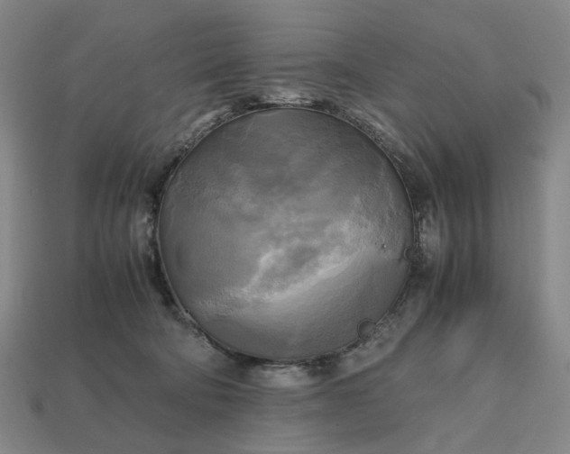 X0000112970322200909101658