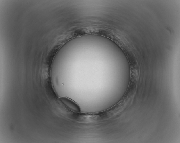 X0000112970323200909101658