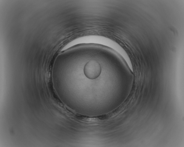 X0000112970324200909101658