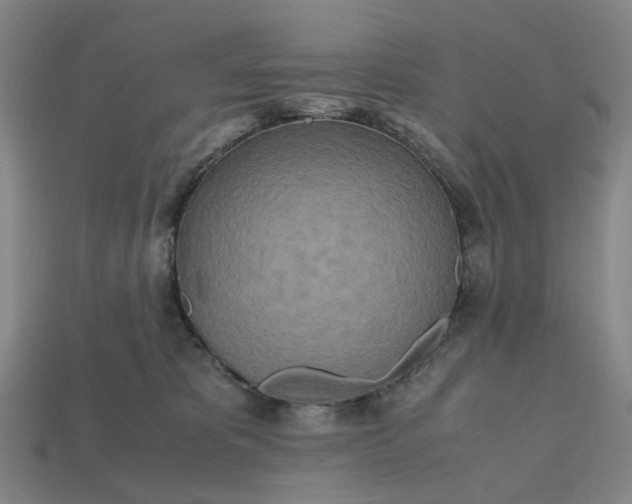 X0000112970325200909101658