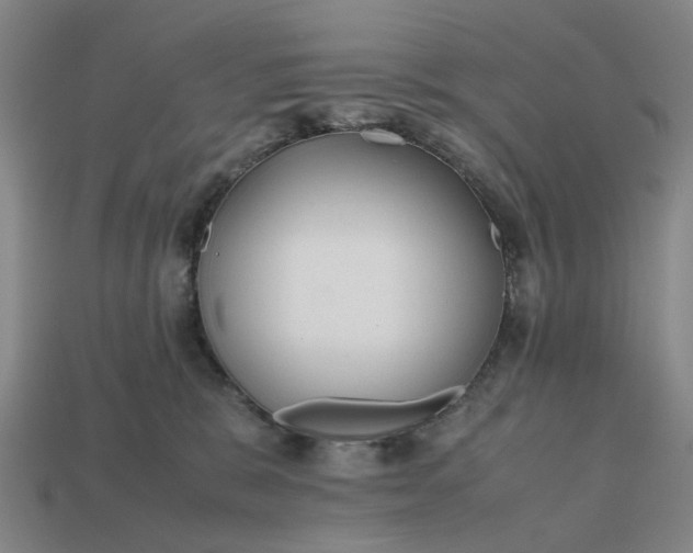 X0000112970327200909101658