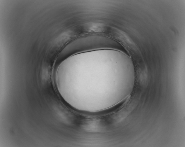 X0000112970328200909101658