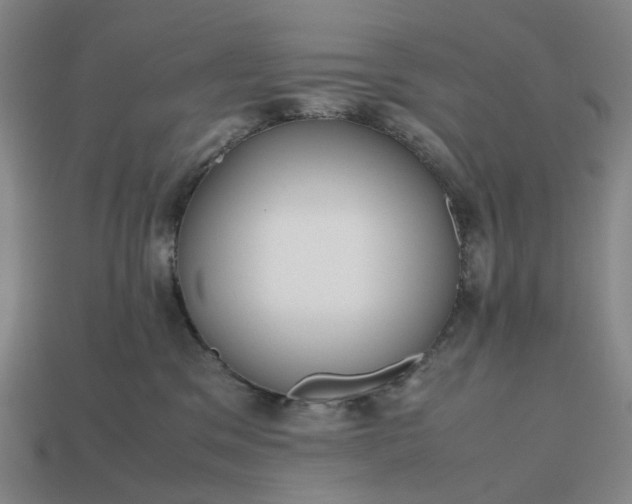 X0000112970329200909101658