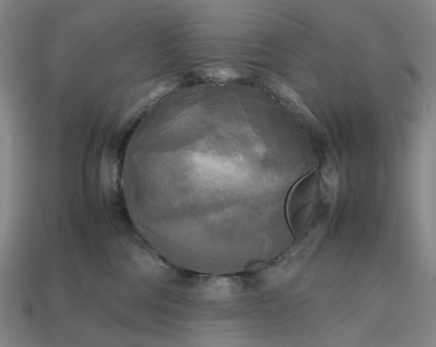 X0000112970330200909101658