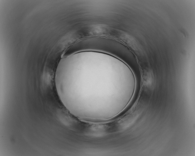 X0000112970332200909101658