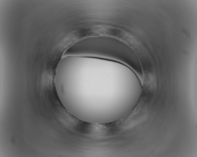 X0000112970333200909101658