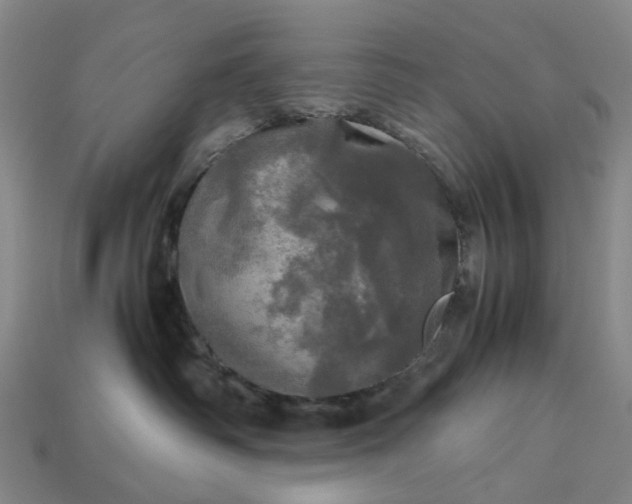 X0000112970334200909101658