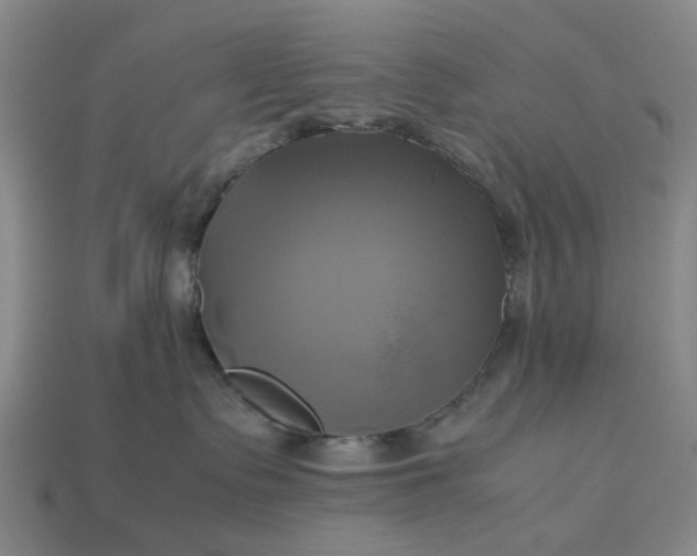 X0000112970335200909101658