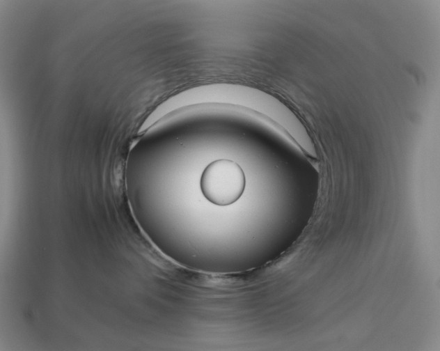 X0000112970336200909101658